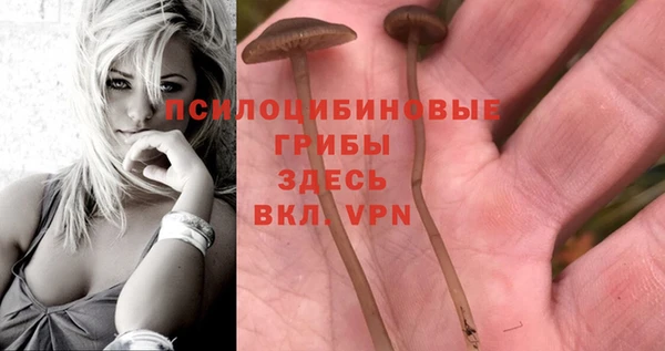 ECSTASY Арсеньев