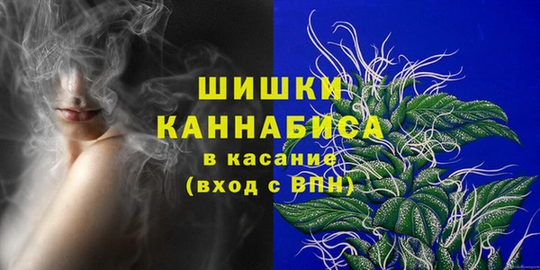 прущие грибы Покровск