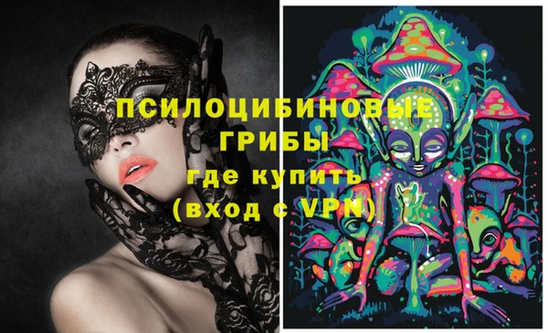 мяу мяу мука Армянск